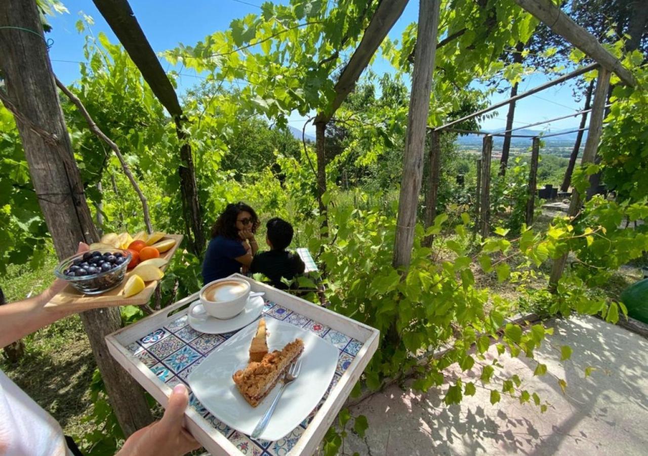 "Il Casaletto" Agriturismo Moderno, Vista Panoramica E Cibo Spettacolare- Scurcola Marsicana Екстериор снимка