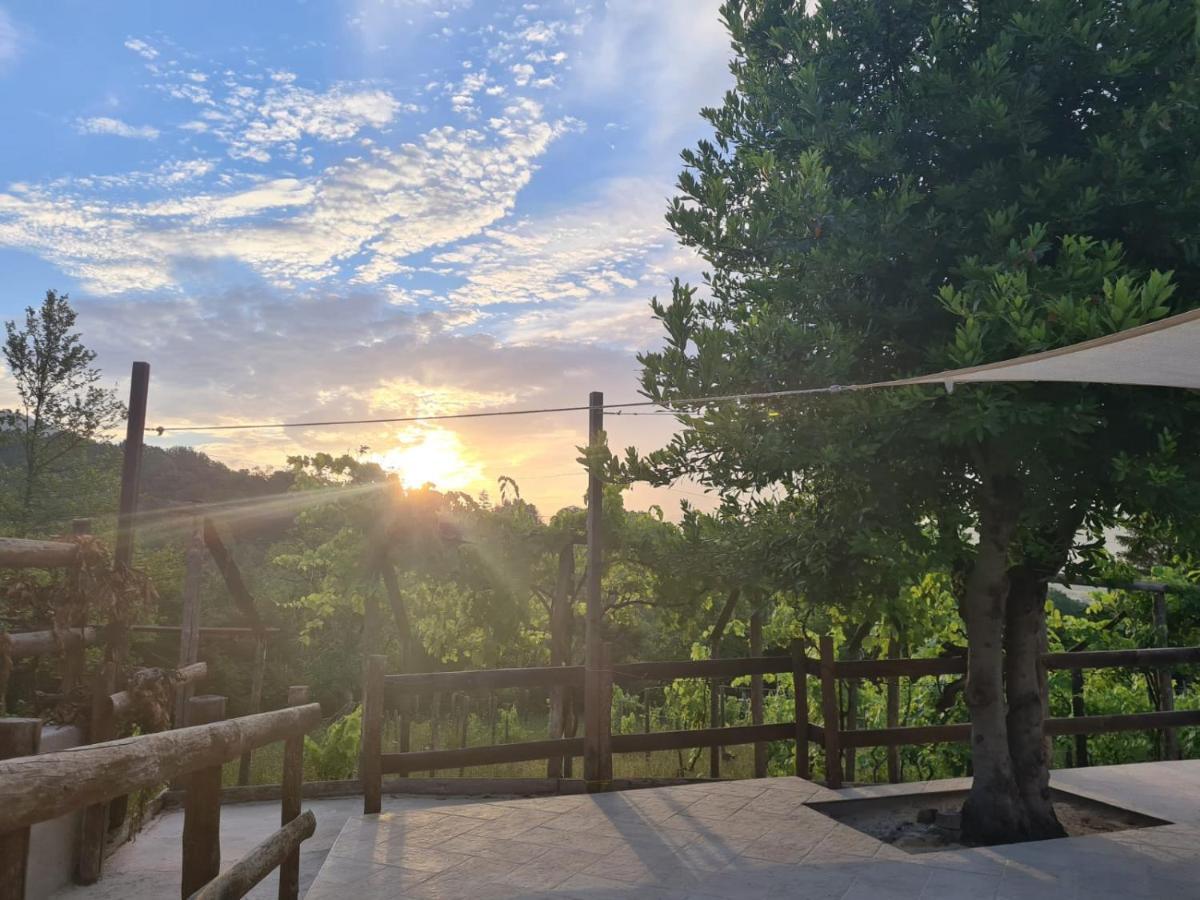 "Il Casaletto" Agriturismo Moderno, Vista Panoramica E Cibo Spettacolare- Scurcola Marsicana Екстериор снимка
