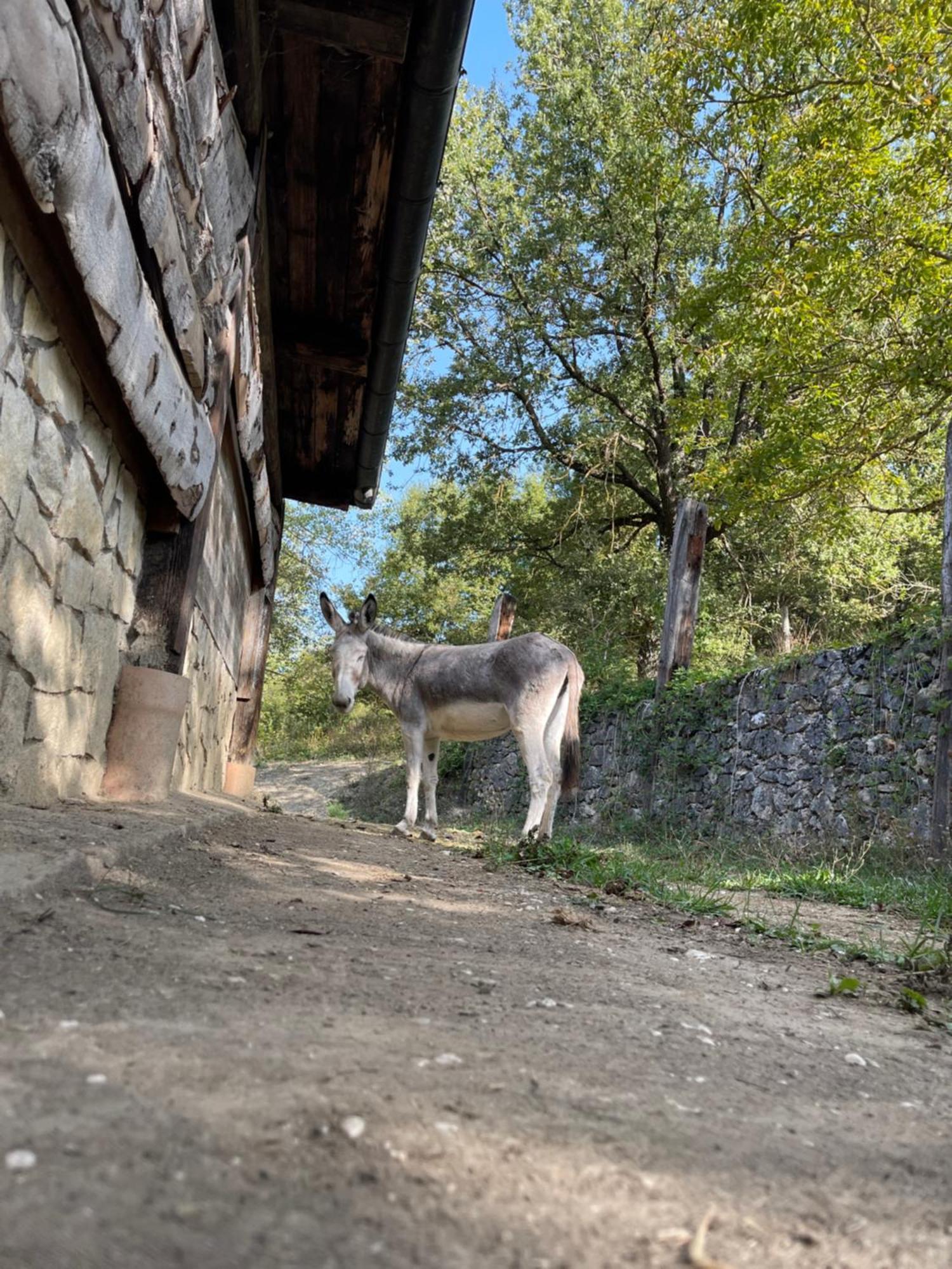 "Il Casaletto" Agriturismo Moderno, Vista Panoramica E Cibo Spettacolare- Scurcola Marsicana Екстериор снимка