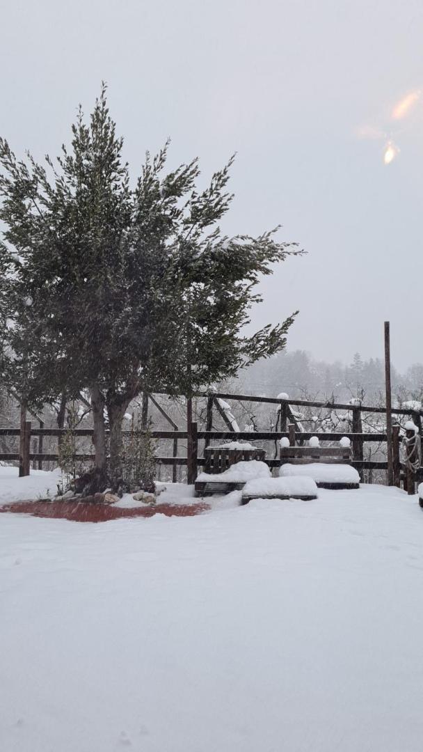 "Il Casaletto" Agriturismo Moderno, Vista Panoramica E Cibo Spettacolare- Scurcola Marsicana Екстериор снимка